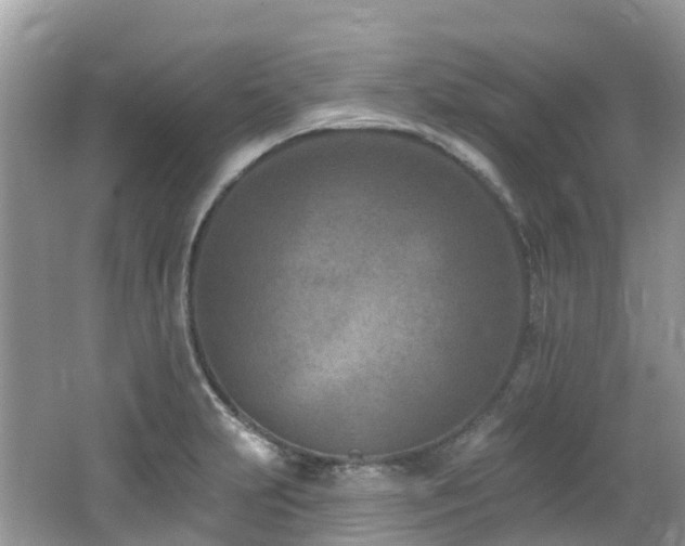 X0000062691231200512211427