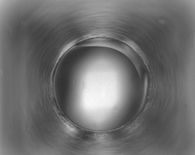 X0000062691242200512211427