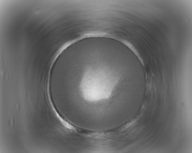 X0000062691245200512211427