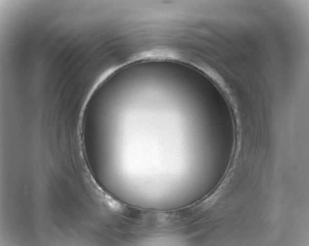 X0000062691248200512211427