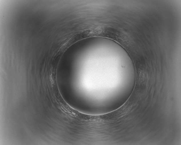 X0000062691250200512211426