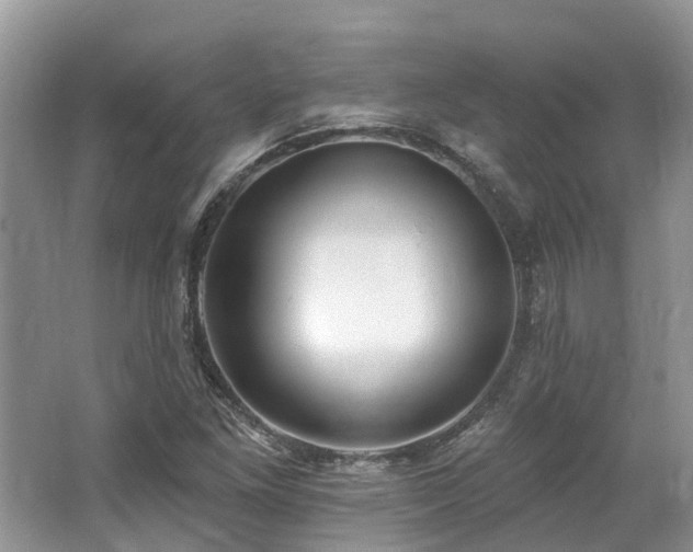 X0000062691261200512211426