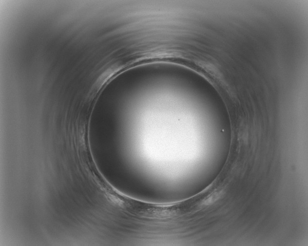 X0000062691273200512211426