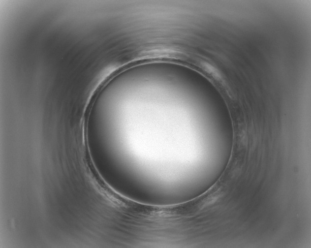 X0000062691275200512211426
