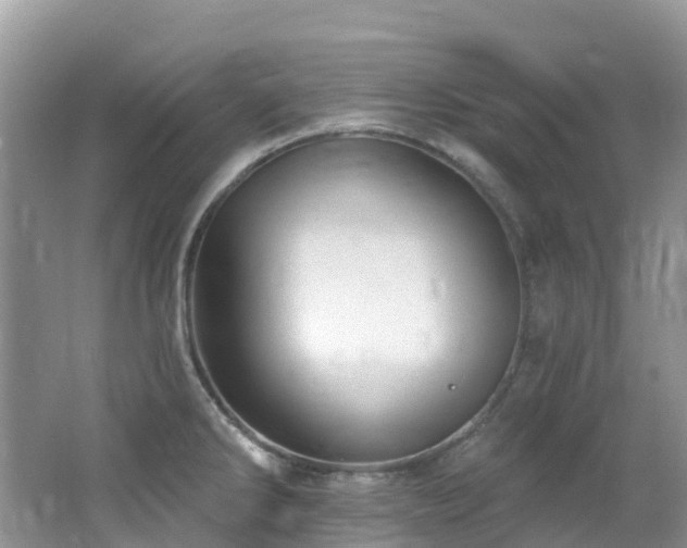 X0000062691286200512211426
