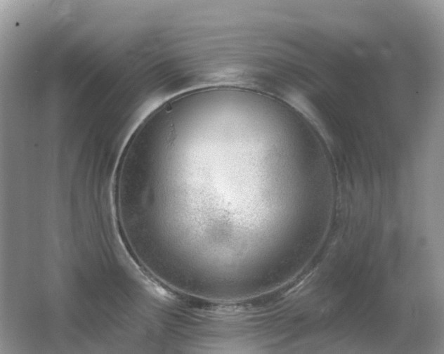 X0000062691291200512211426