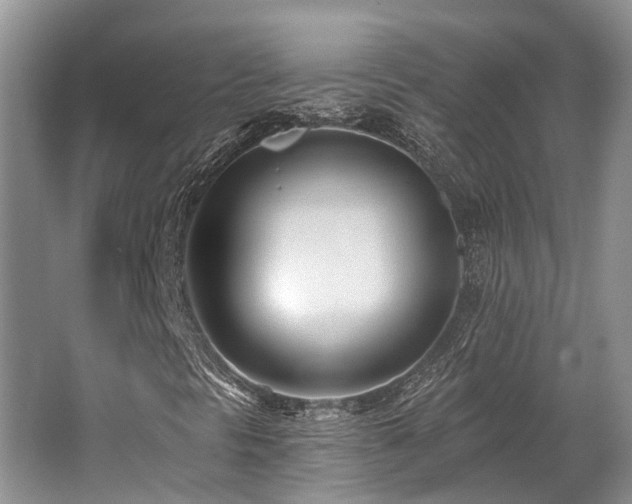 X0000062691297200512211425