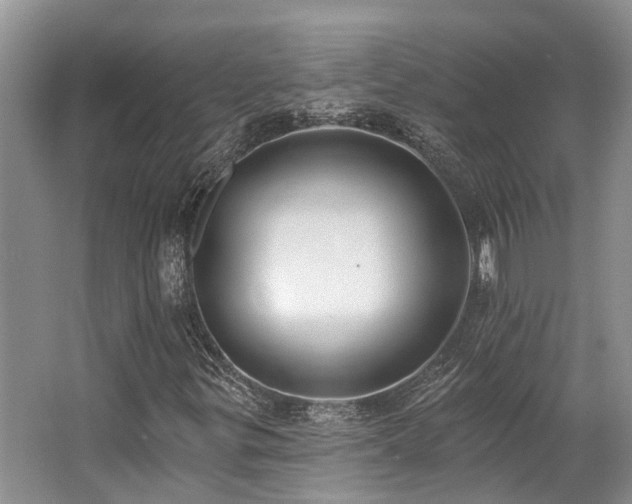X0000062691299200512211425
