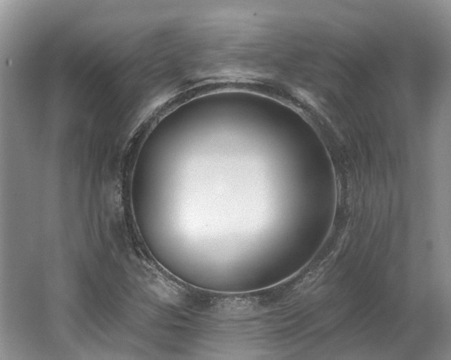 X0000062691307200512211425
