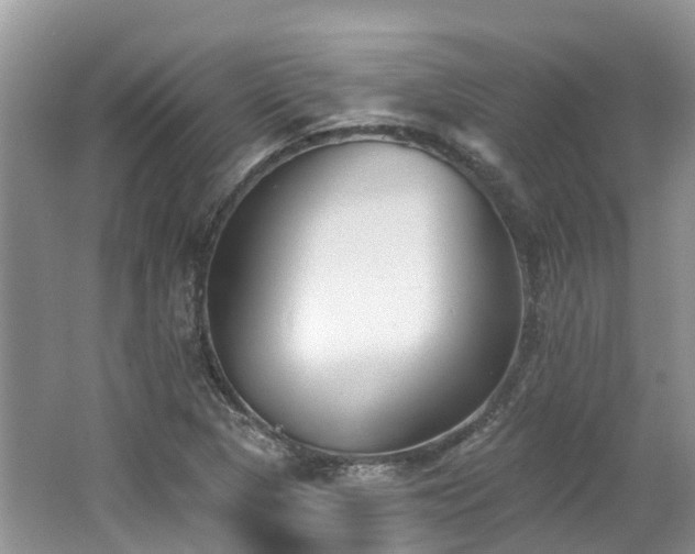 X0000062691313200512211425