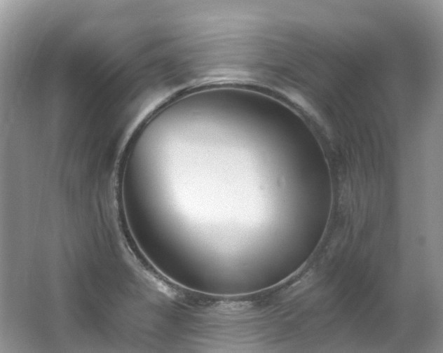 X0000062691325200512211425