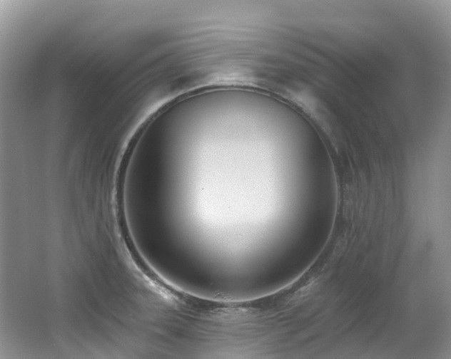 X0000062691331200512211425