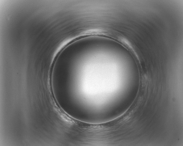 X0000062691336200512211425
