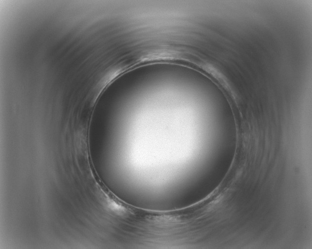 X0000062691337200512211425
