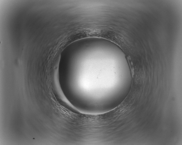 X0000062691345200512211425