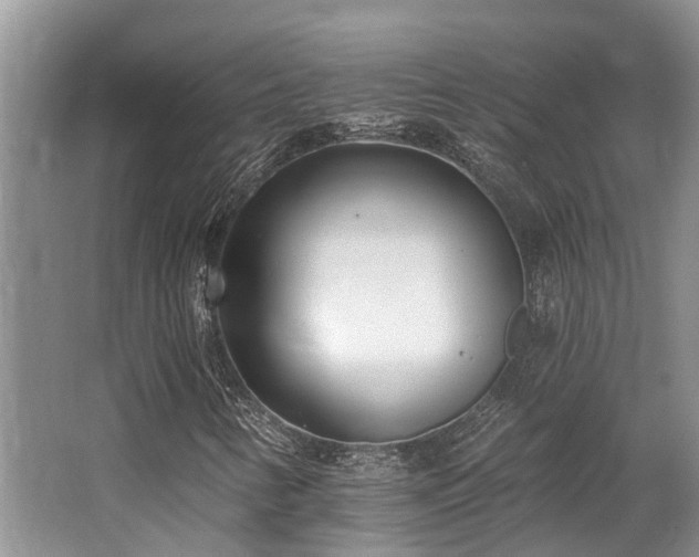 X0000062691346200512211425
