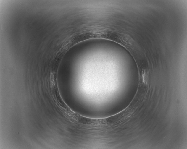 X0000062691347200512211425