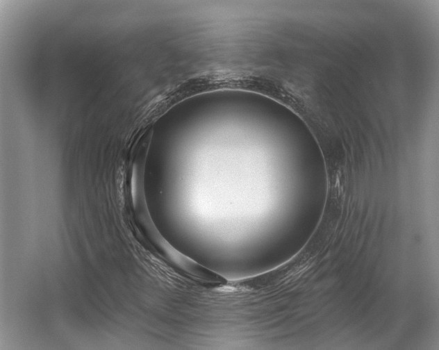 X0000062691348200512211425