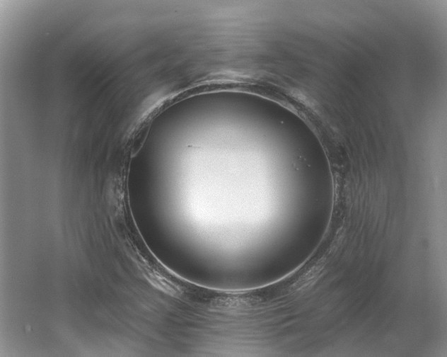 X0000062691355200512211425