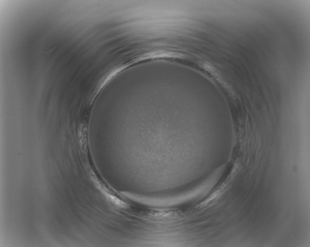 X0000062691369200512211424