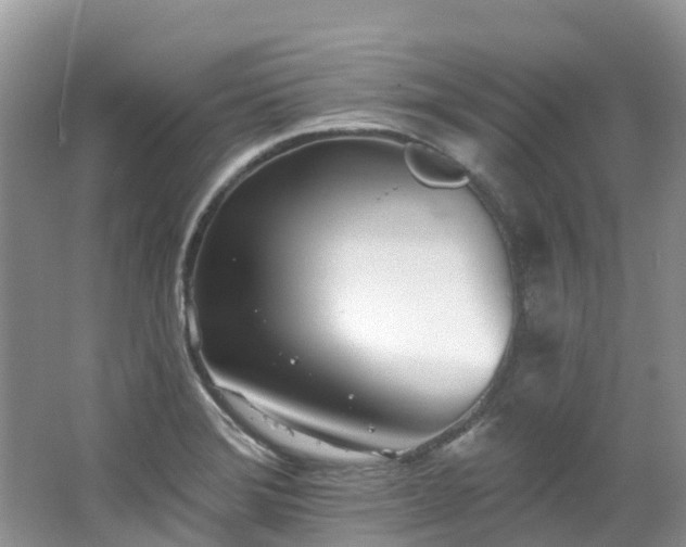 X0000062691372200512211424
