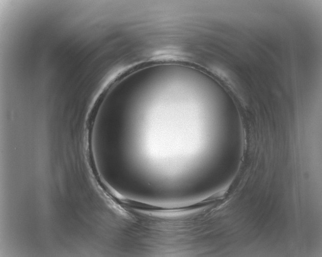 X0000062691376200512211424