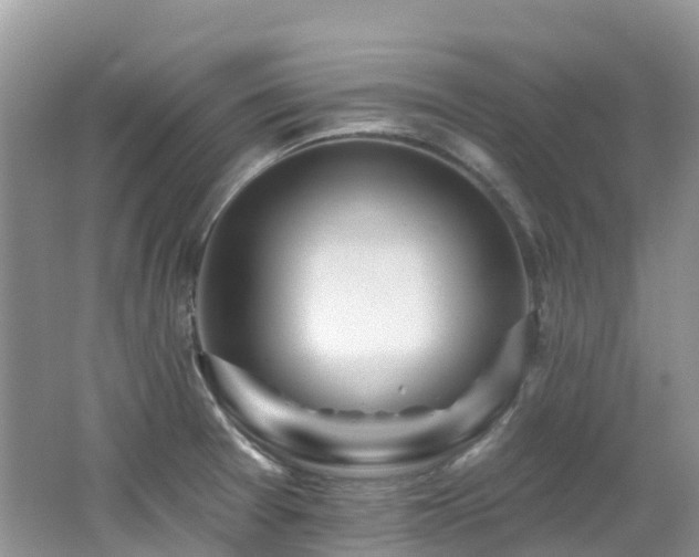 X0000062691377200512211424