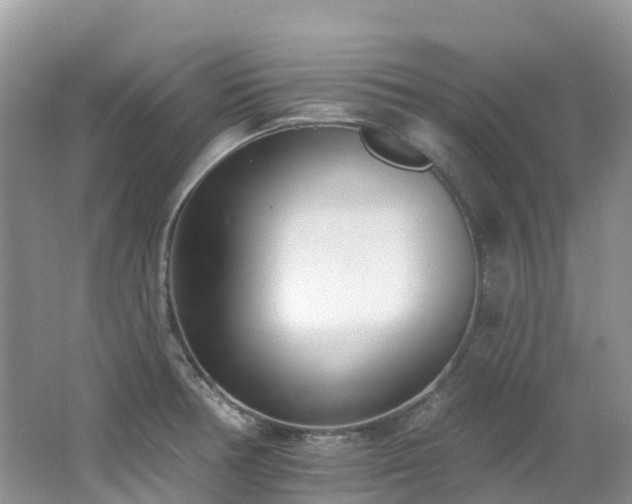 X0000062691378200512211424