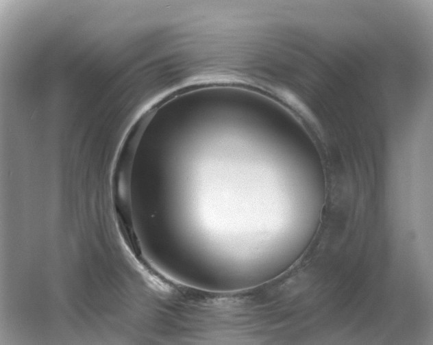 X0000062691380200512211424