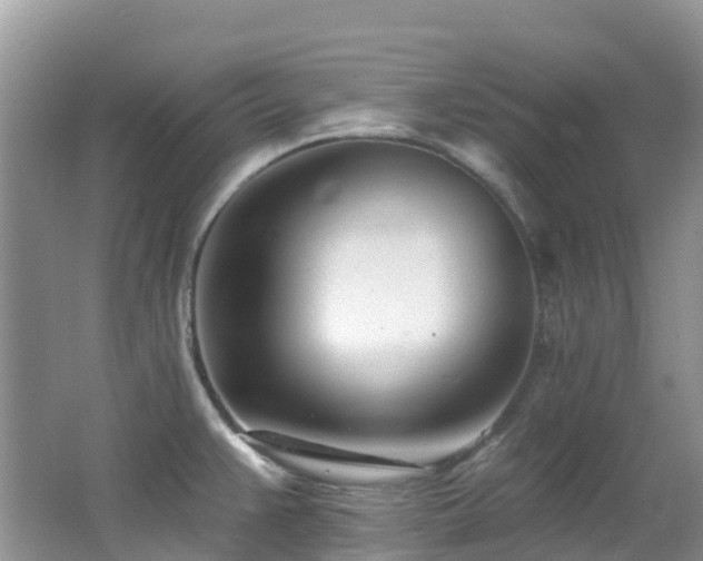 X0000062691383200512211424