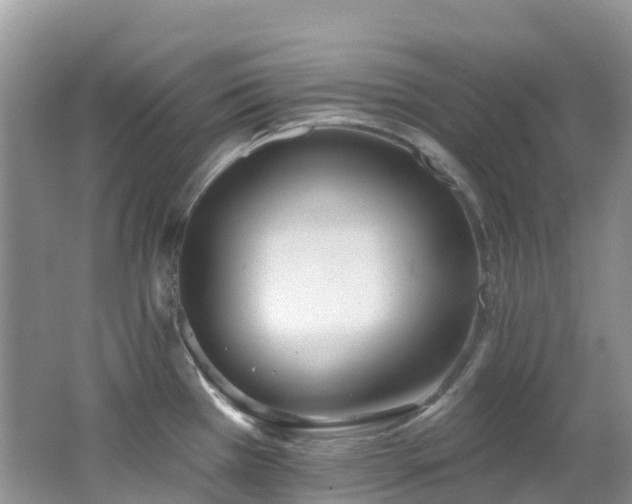 X0000062691385200512211424
