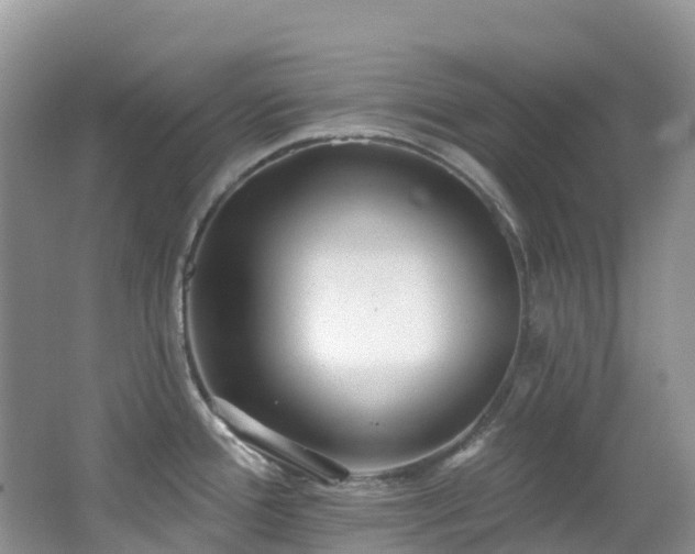 X0000062691388200512211424