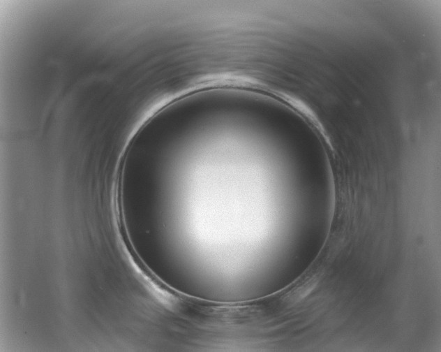 X0000062691391200512211424