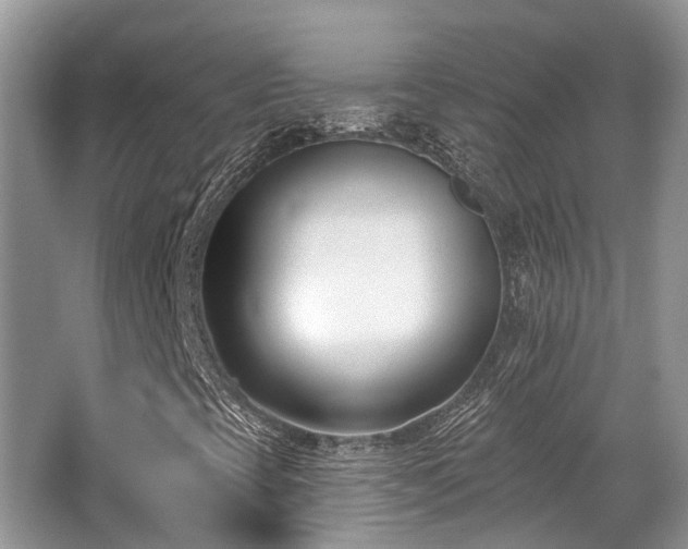 X0000062691393200512211423