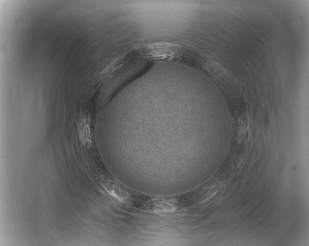 X0000062691394200512211423