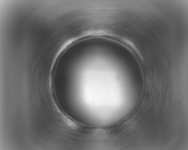 X0000062691424200512211424
