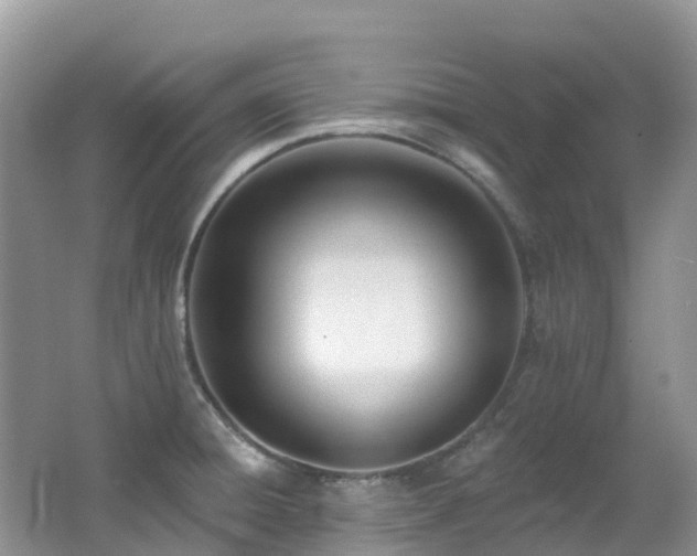 X0000062691428200512211424