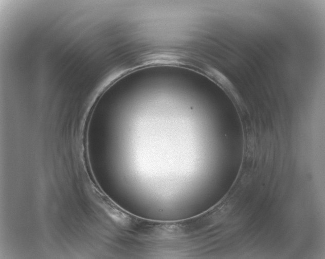 X0000062691435200512211424