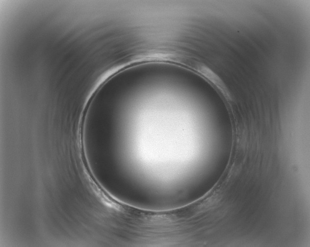 X0000062691436200512211424