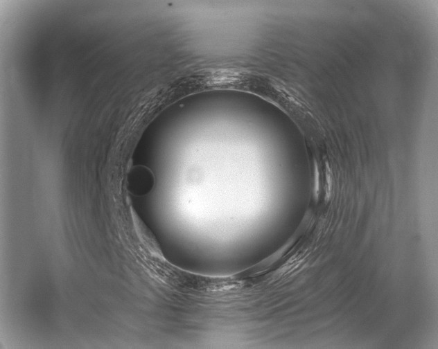 X0000062691441200512211423