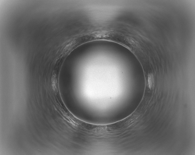 X0000062691444200512211423