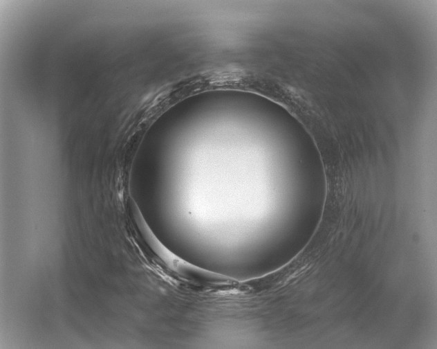 X0000062691445200512211423