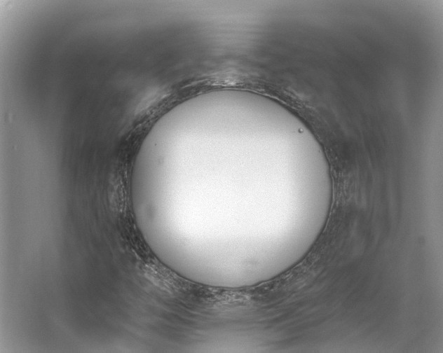 X0000062691446200512211423