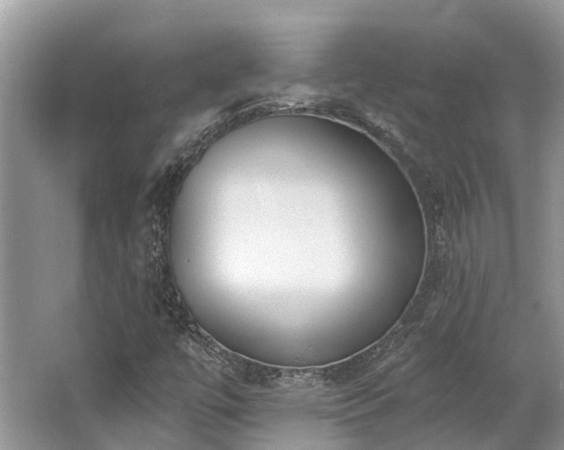 X0000062691447200512211423