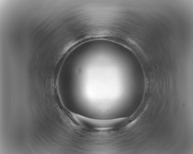 X0000062691457200512211423