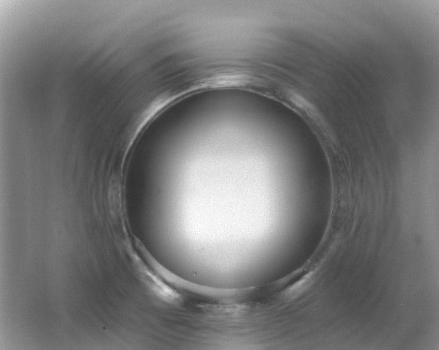 X0000062691473200512211423