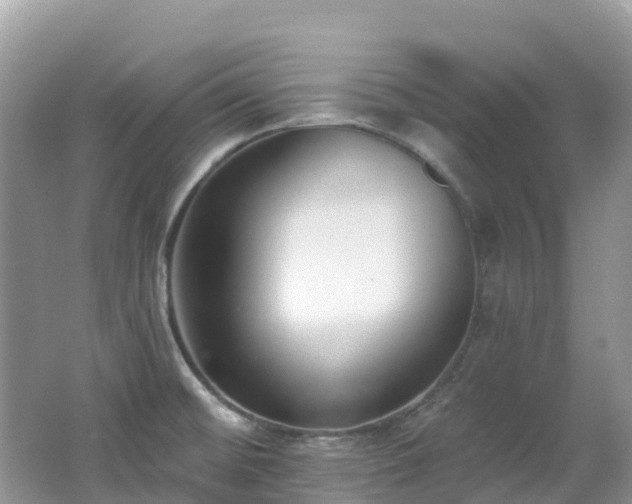 X0000062691476200512211422
