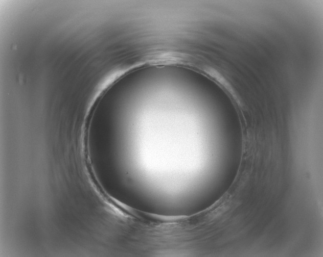 X0000062691477200512211422