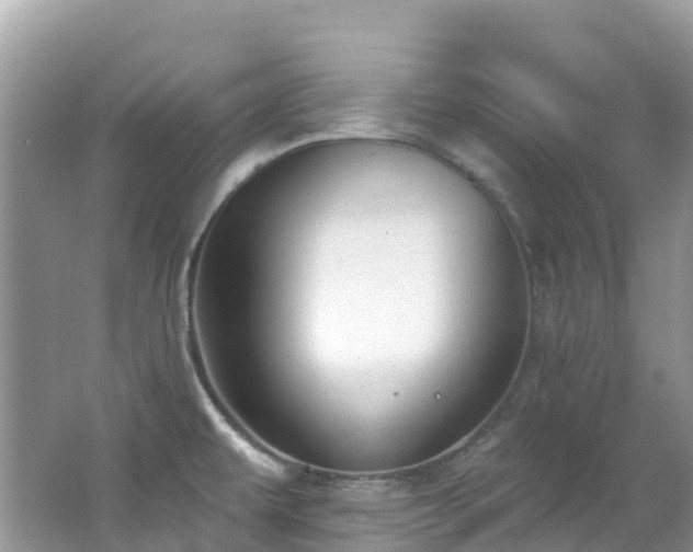 X0000062691479200512211422