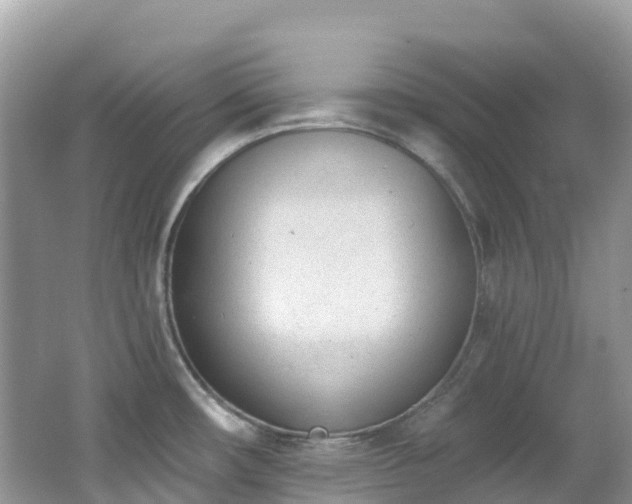 X0000062691482200512211422